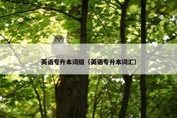 英语专升本词缀（英语专升本词汇）