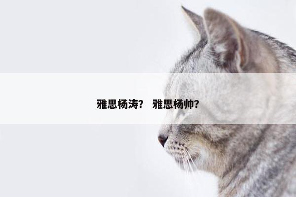 雅思杨涛？ 雅思杨帅？