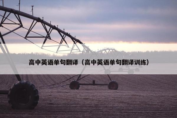 高中英语单句翻译（高中英语单句翻译训练）