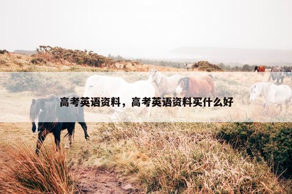 高考英语资料，高考英语资料买什么好