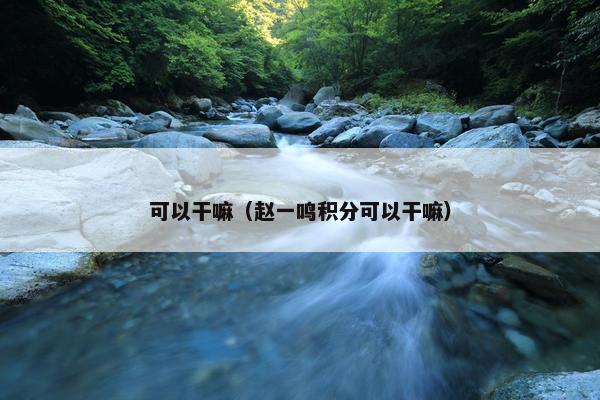 可以干嘛（赵一鸣积分可以干嘛）