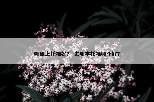 哪里上托福好？ 去哪学托福哪个好？