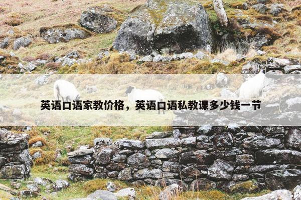 英语口语家教价格，英语口语私教课多少钱一节