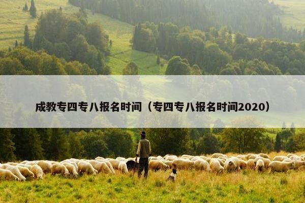 成教专四专八报名时间（专四专八报名时间2020）