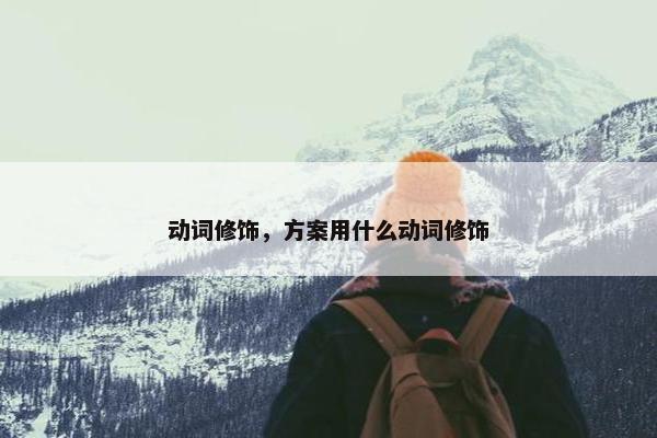 动词修饰，方案用什么动词修饰