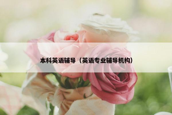 本科英语辅导（英语专业辅导机构）