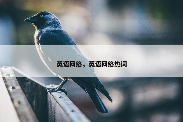英语网络，英语网络热词