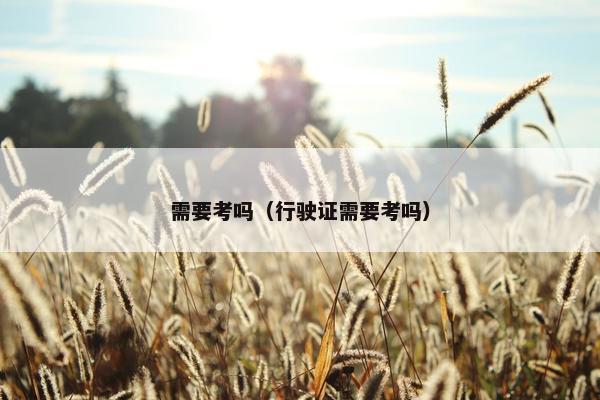 需要考吗（行驶证需要考吗）