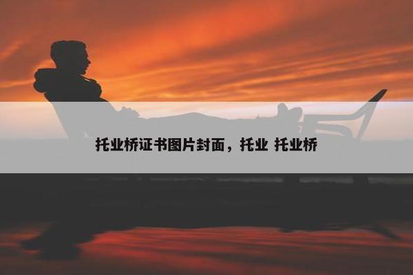 托业桥证书图片封面，托业 托业桥