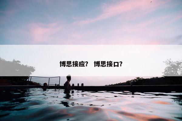 博思接应？ 博思接口？
