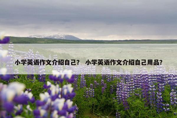 小学英语作文介绍自己？ 小学英语作文介绍自己用品？