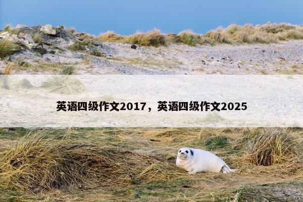 英语四级作文2017，英语四级作文2025