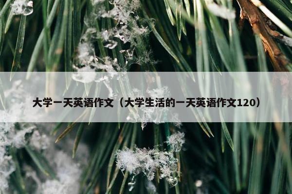大学一天英语作文（大学生活的一天英语作文120）