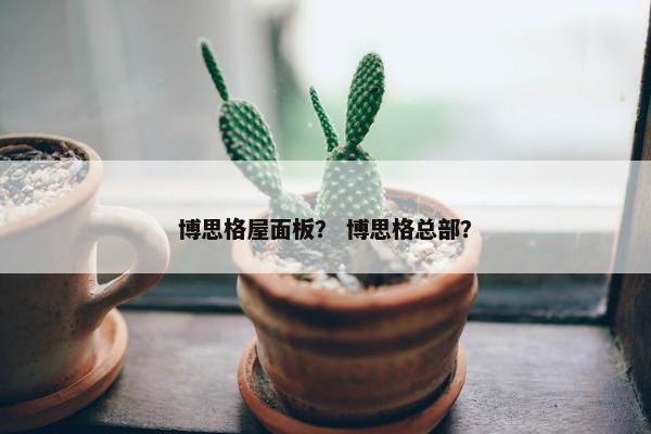 博思格屋面板？ 博思格总部？