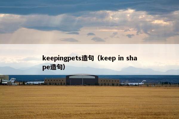 keepingpets造句（keep in shape造句）