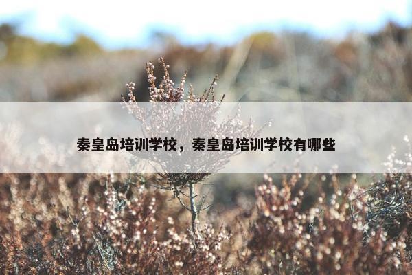 秦皇岛培训学校，秦皇岛培训学校有哪些