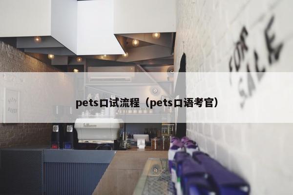 pets口试流程（pets口语考官）