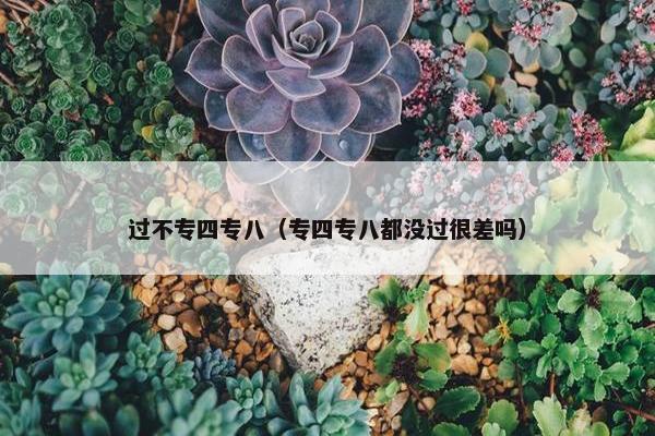 过不专四专八（专四专八都没过很差吗）
