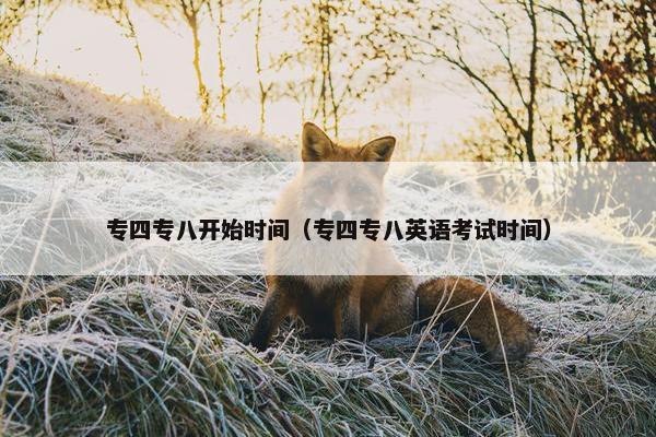 专四专八开始时间（专四专八英语考试时间）