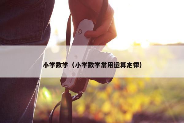 小学数学（小学数学常用运算定律）