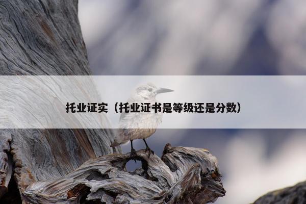 托业证实（托业证书是等级还是分数）