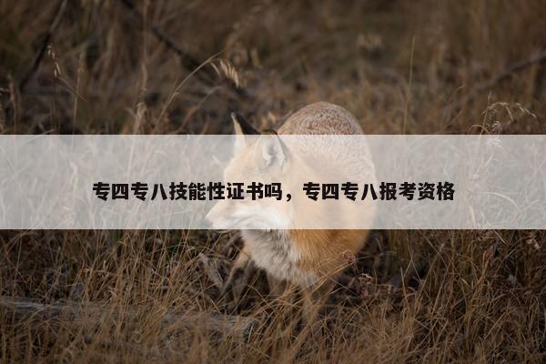 专四专八技能性证书吗，专四专八报考资格