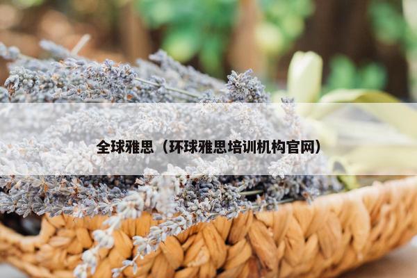 全球雅思（环球雅思培训机构官网）