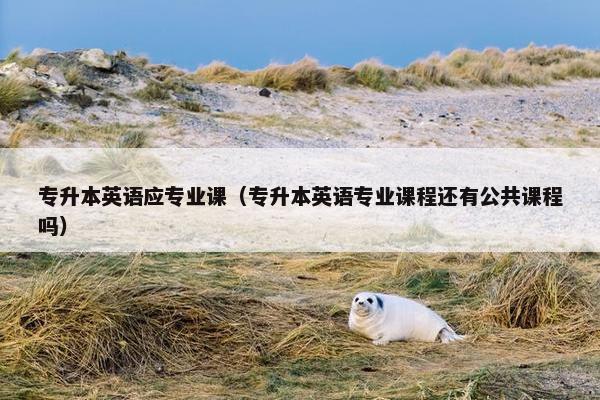 专升本英语应专业课（专升本英语专业课程还有公共课程吗）