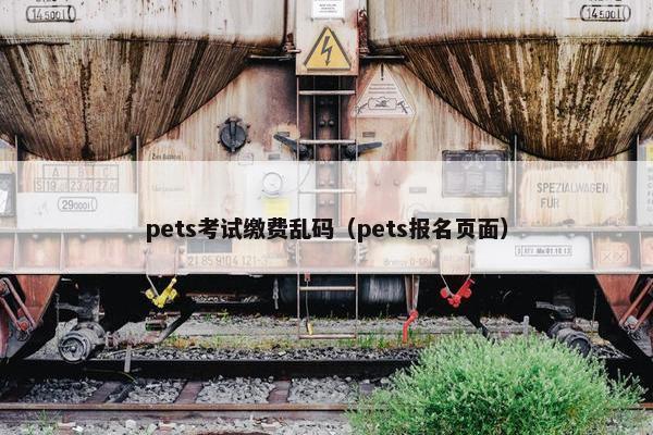 pets考试缴费乱码（pets报名页面）