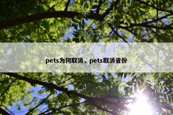 pets为何取消，pets取消省份
