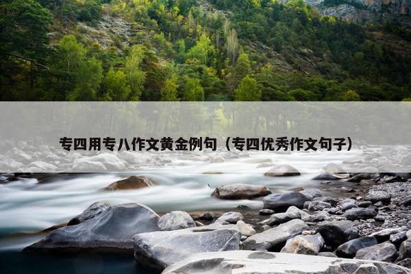 专四用专八作文黄金例句（专四优秀作文句子）
