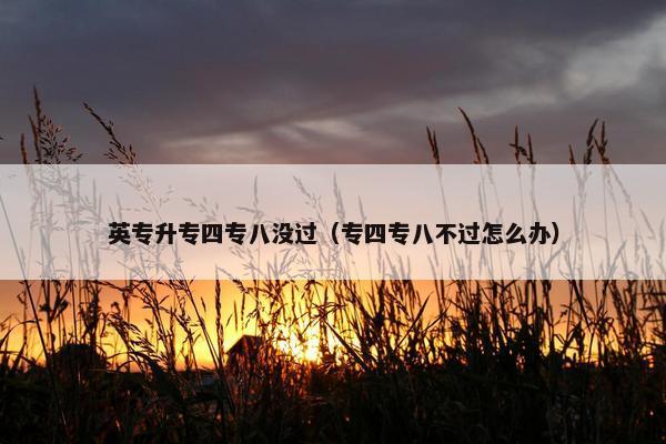 英专升专四专八没过（专四专八不过怎么办）