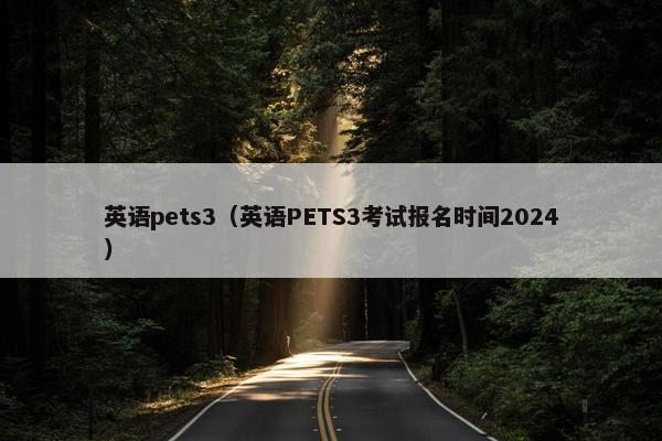 英语pets3（英语PETS3考试报名时间2024）