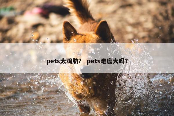 pets太鸡肋？ pets难度大吗？