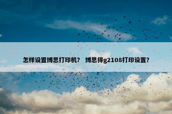 怎样设置博思打印机？ 博思得g2108打印设置？