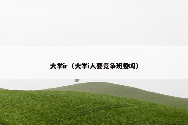 大学ir（大学i人要竞争班委吗）