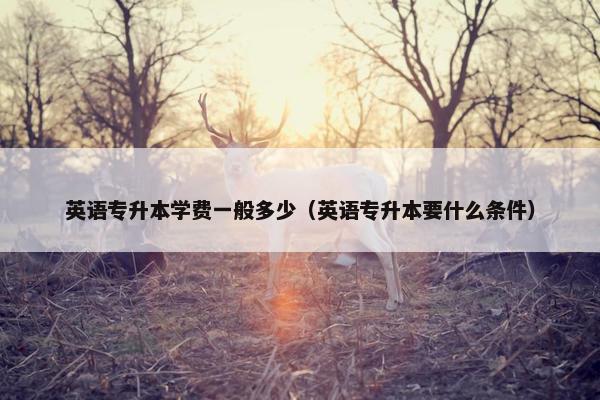 英语专升本学费一般多少（英语专升本要什么条件）