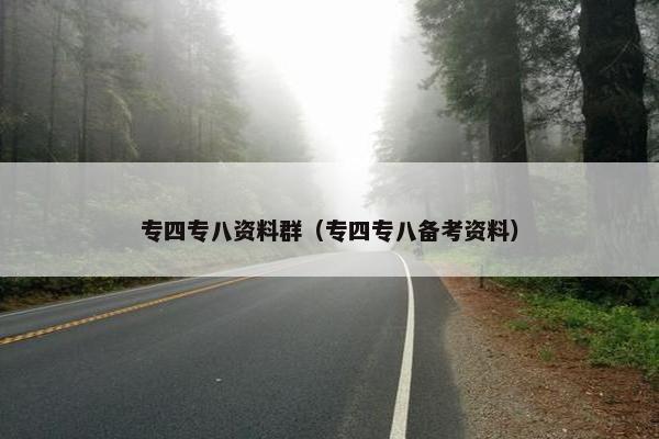 专四专八资料群（专四专八备考资料）