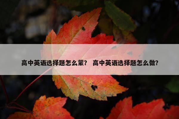 高中英语选择题怎么蒙？ 高中英语选择题怎么做？