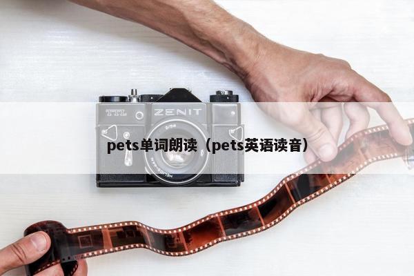 pets单词朗读（pets英语读音）