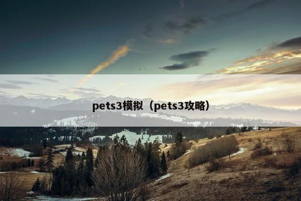 pets3模拟（pets3攻略）