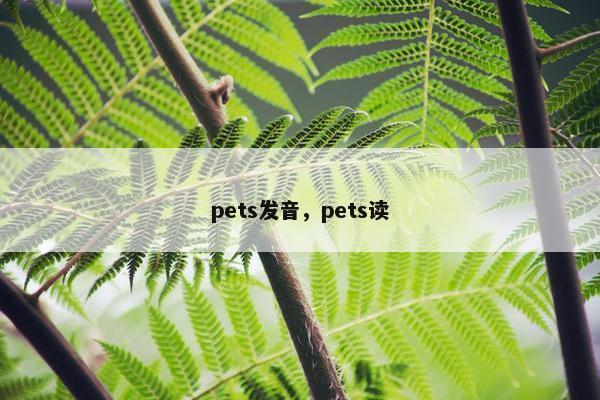 pets发音，pets读