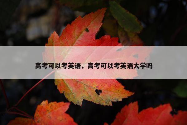 高考可以考英语，高考可以考英语大学吗