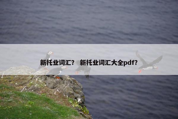 新托业词汇？ 新托业词汇大全pdf？
