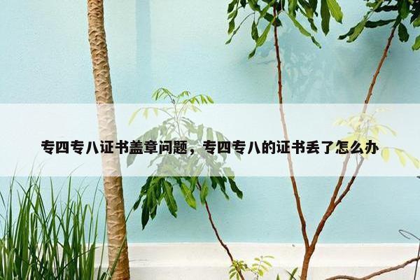 专四专八证书盖章问题，专四专八的证书丢了怎么办