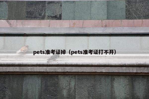 pets准考证掉（pets准考证打不开）
