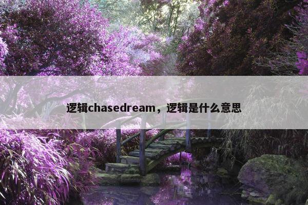 逻辑chasedream，逻辑是什么意思