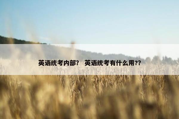 英语统考内部？ 英语统考有什么用?？