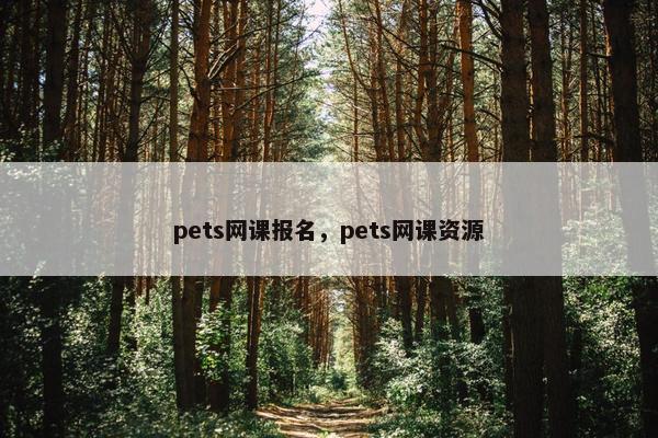 pets网课报名，pets网课资源