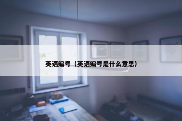 英语编号（英语编号是什么意思）